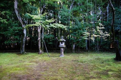 大徳寺・高桐院